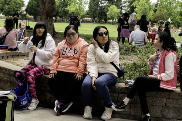 picnic 3